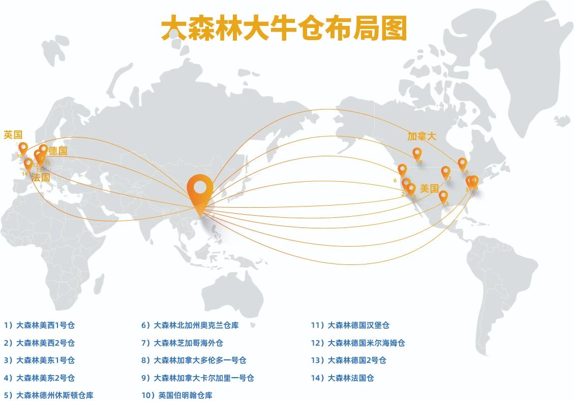 大森林2024年度报告