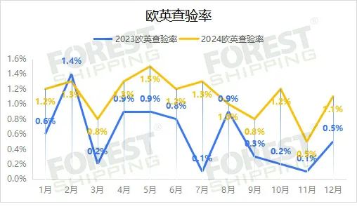 大森林2024年度报告