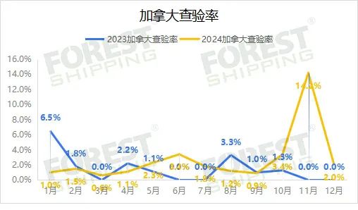 大森林2024年度报告